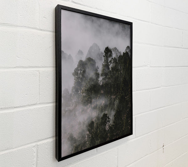 Silver Mist Forest
