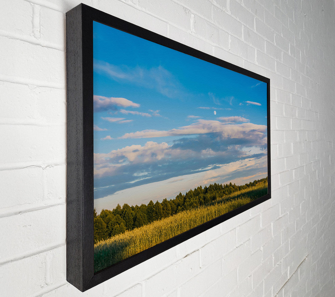  A Canvas Print of Blue Skies And Golden Fields Canvas Print
