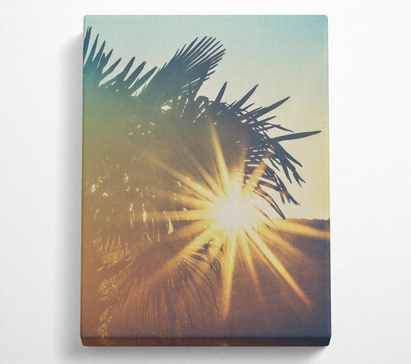  A Canvas Print of Golden Palm Sunset Canvas Print