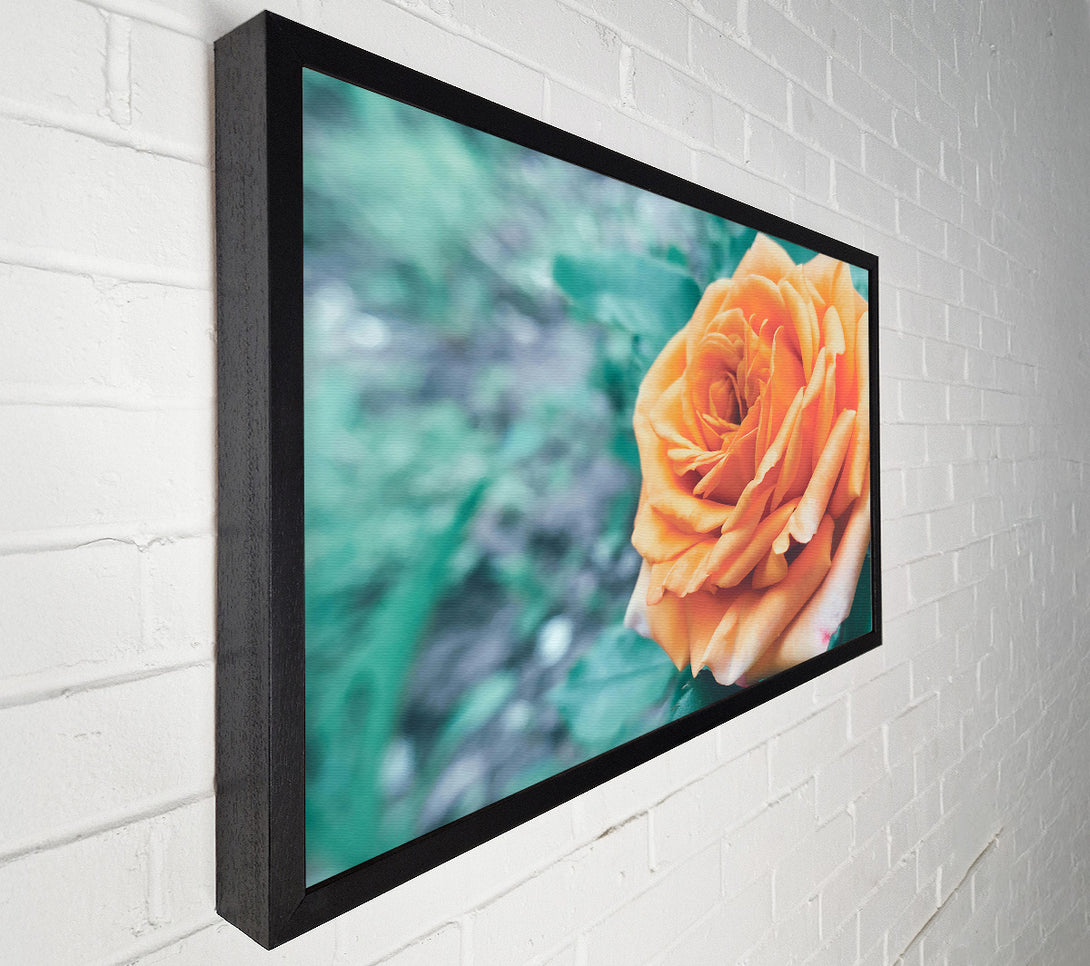  A Canvas Print of Peach Rose Bloom Canvas Wall Art
