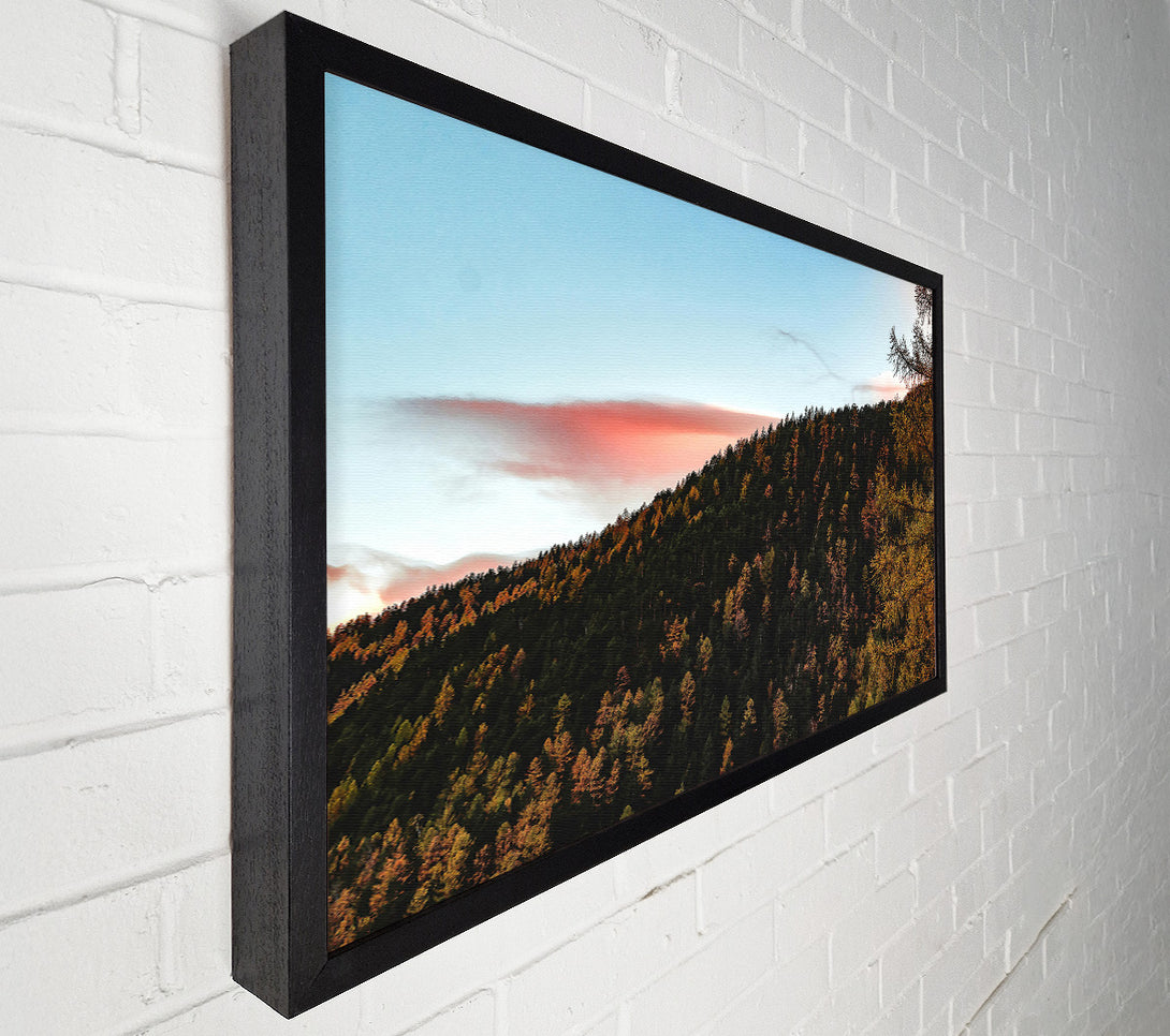  A Canvas Print of Pink Sky Forest Canvas Wall Art