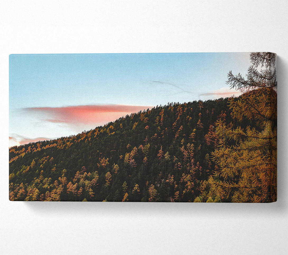  A Canvas Print of Pink Sky Forest Canvas Wall Art