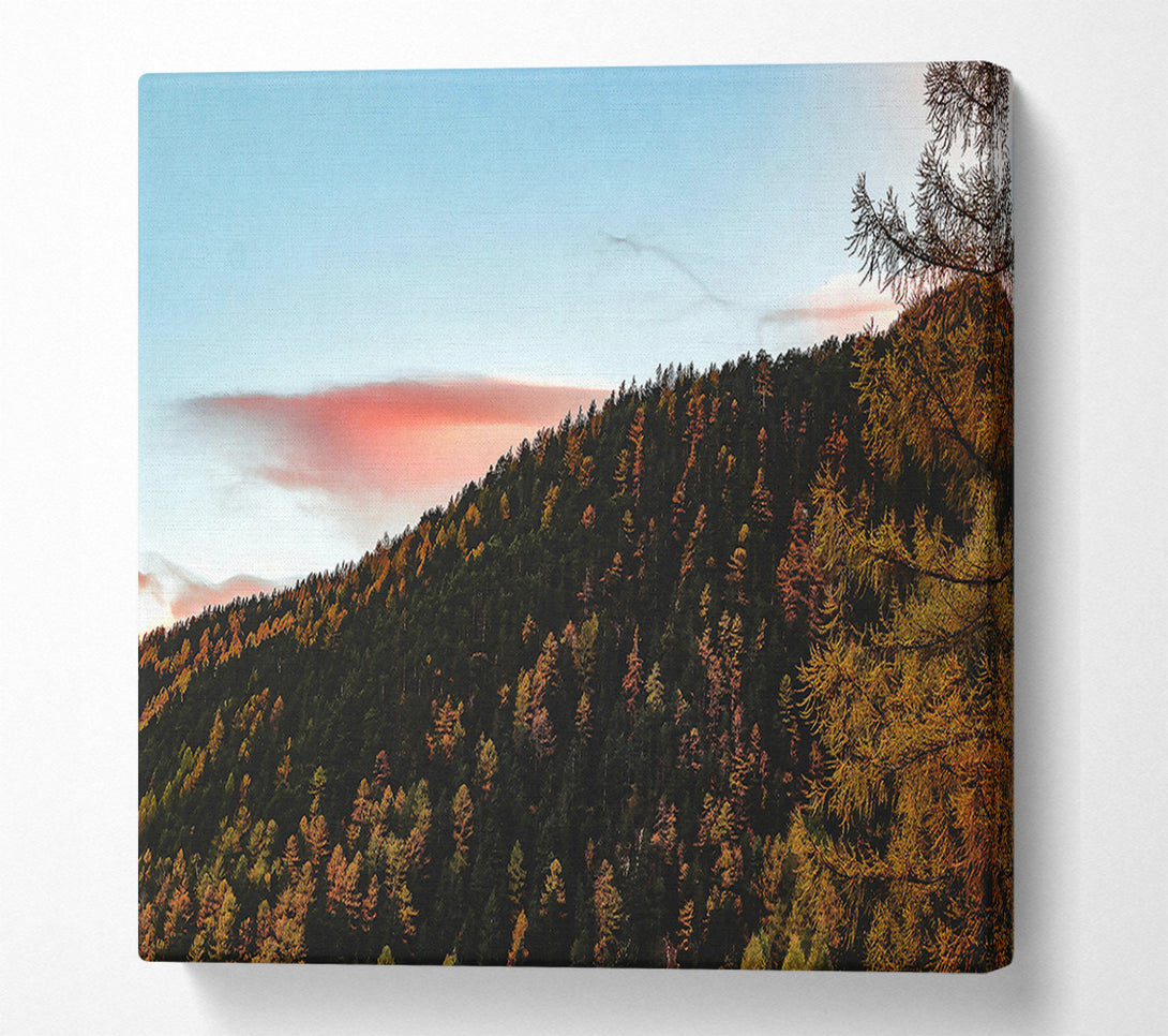  A Canvas Print of Pink Sky Forest Canvas Wall Art