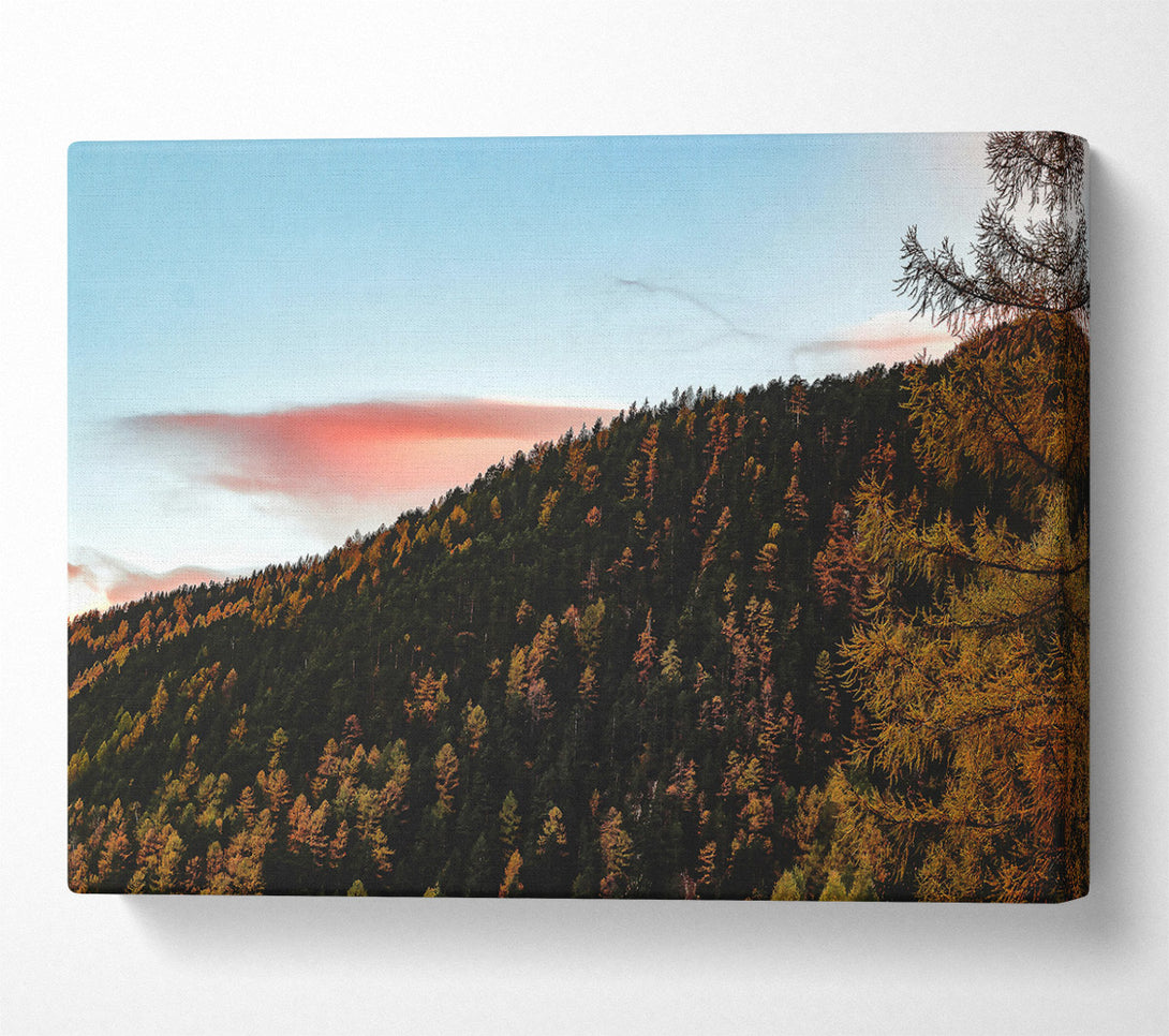  A Canvas Print of Pink Sky Forest Canvas Wall Art