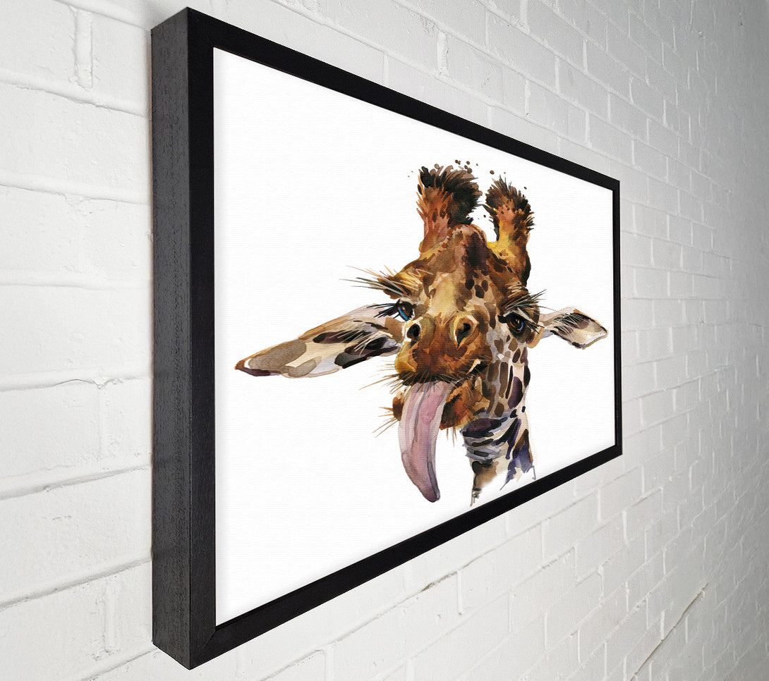  A Canvas Print of Giraffe Lick Canvas Print