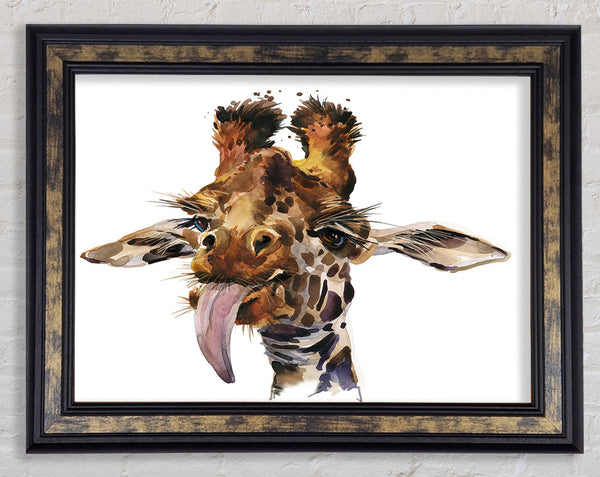 Giraffe Lick Framed Print