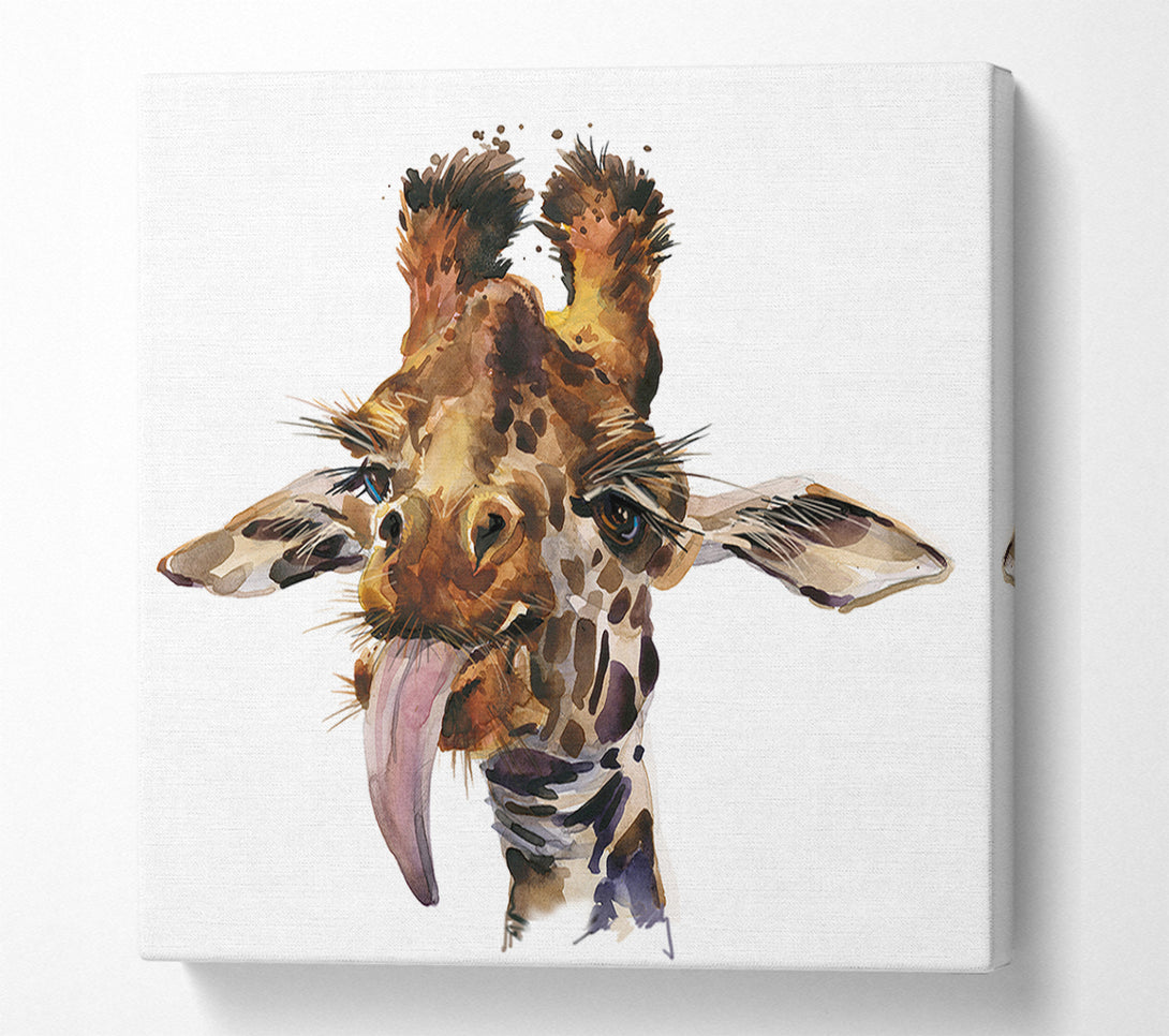  A Canvas Print of Giraffe Lick Canvas Print