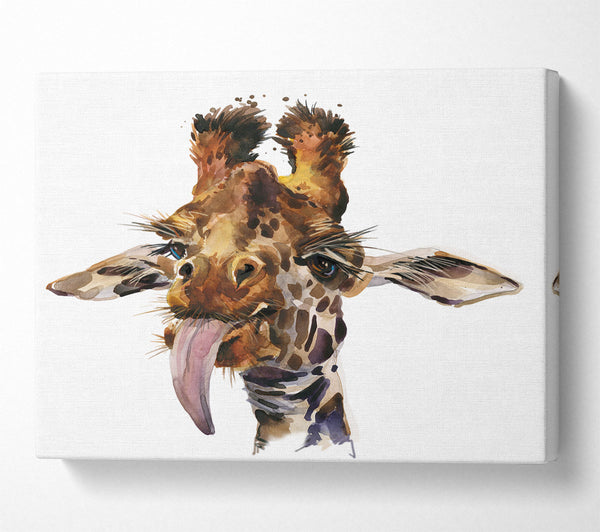  A Canvas Print of Giraffe Lick Canvas Print
