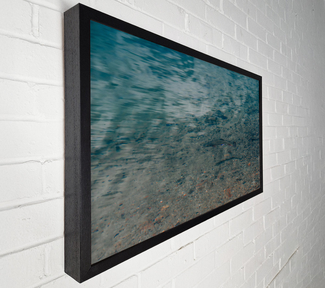  A Canvas Print of Teal Water Trout Canvas Wall Art