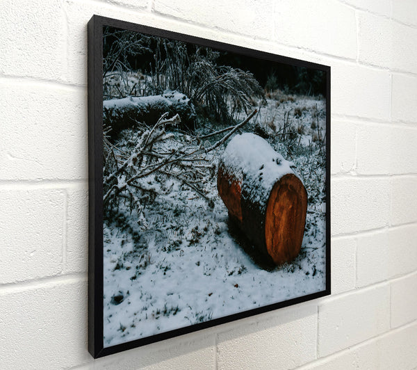 Brown Log In Snowfall