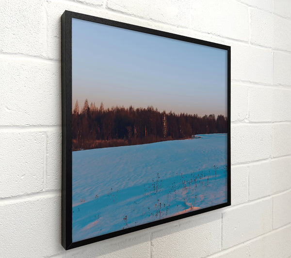 Blue Snow Field