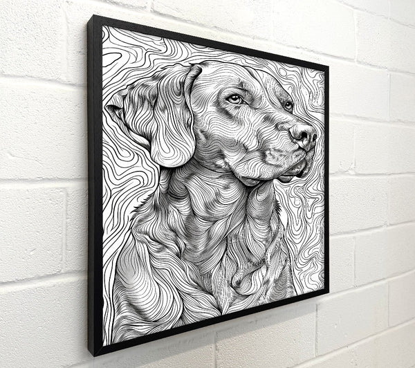 Black And White Furry Lines