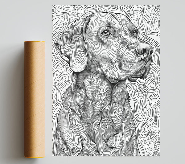 Black And White Furry Lines Giclee Print