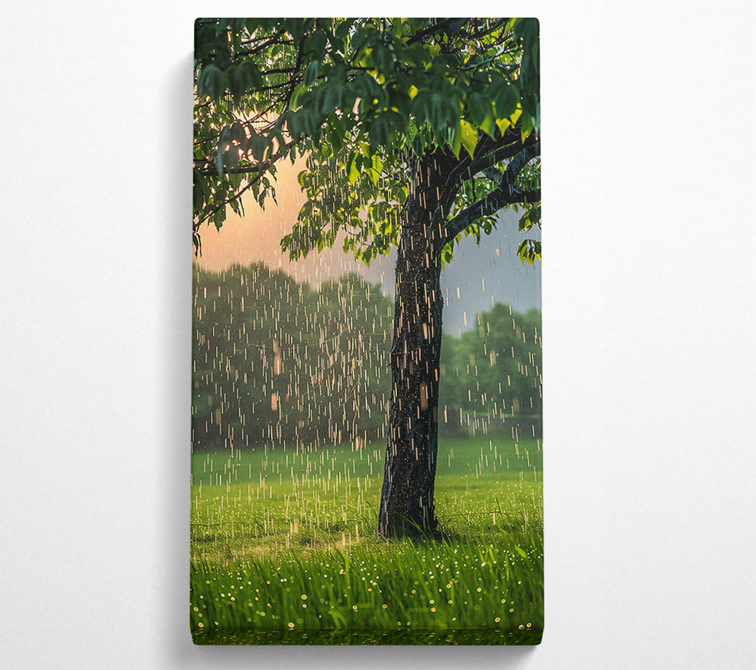  A Canvas Print of Golden Rain Shower Canvas Wall Art