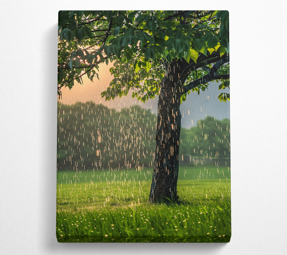  A Canvas Print of Golden Rain Shower Canvas Wall Art