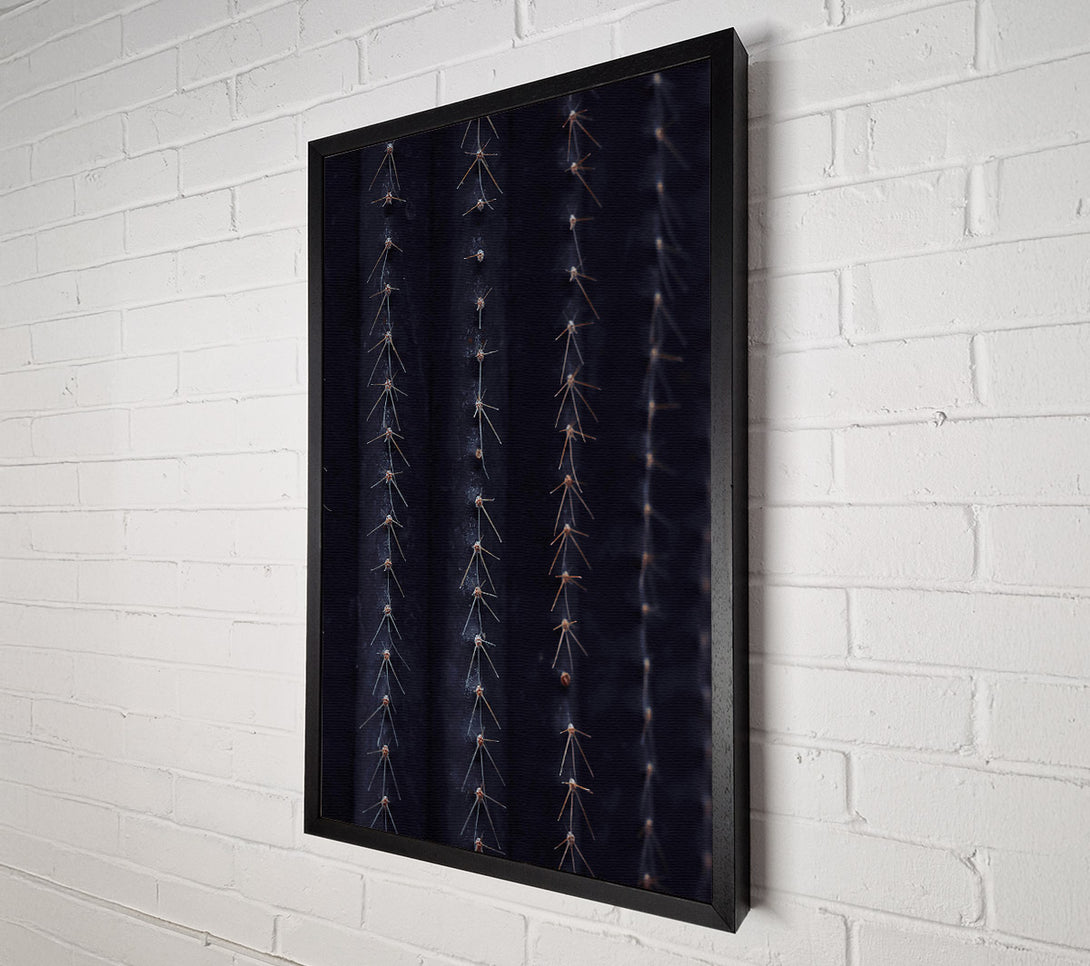  A Canvas Print of Midnight Cactus Ribs Canvas Wall Art