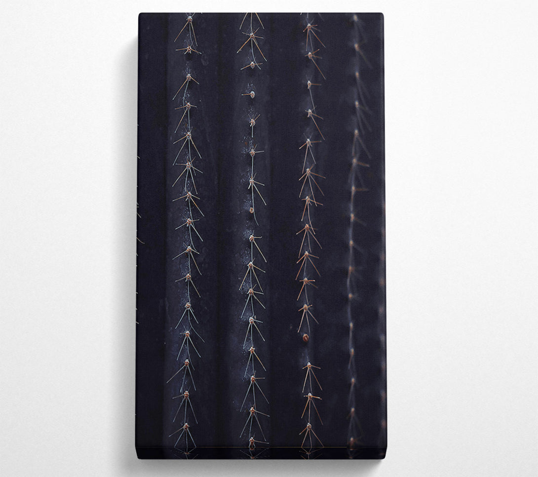  A Canvas Print of Midnight Cactus Ribs Canvas Wall Art