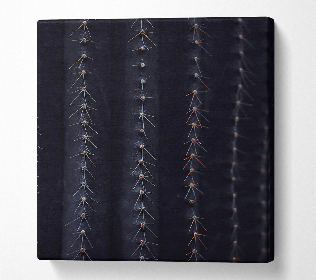  A Canvas Print of Midnight Cactus Ribs Canvas Wall Art