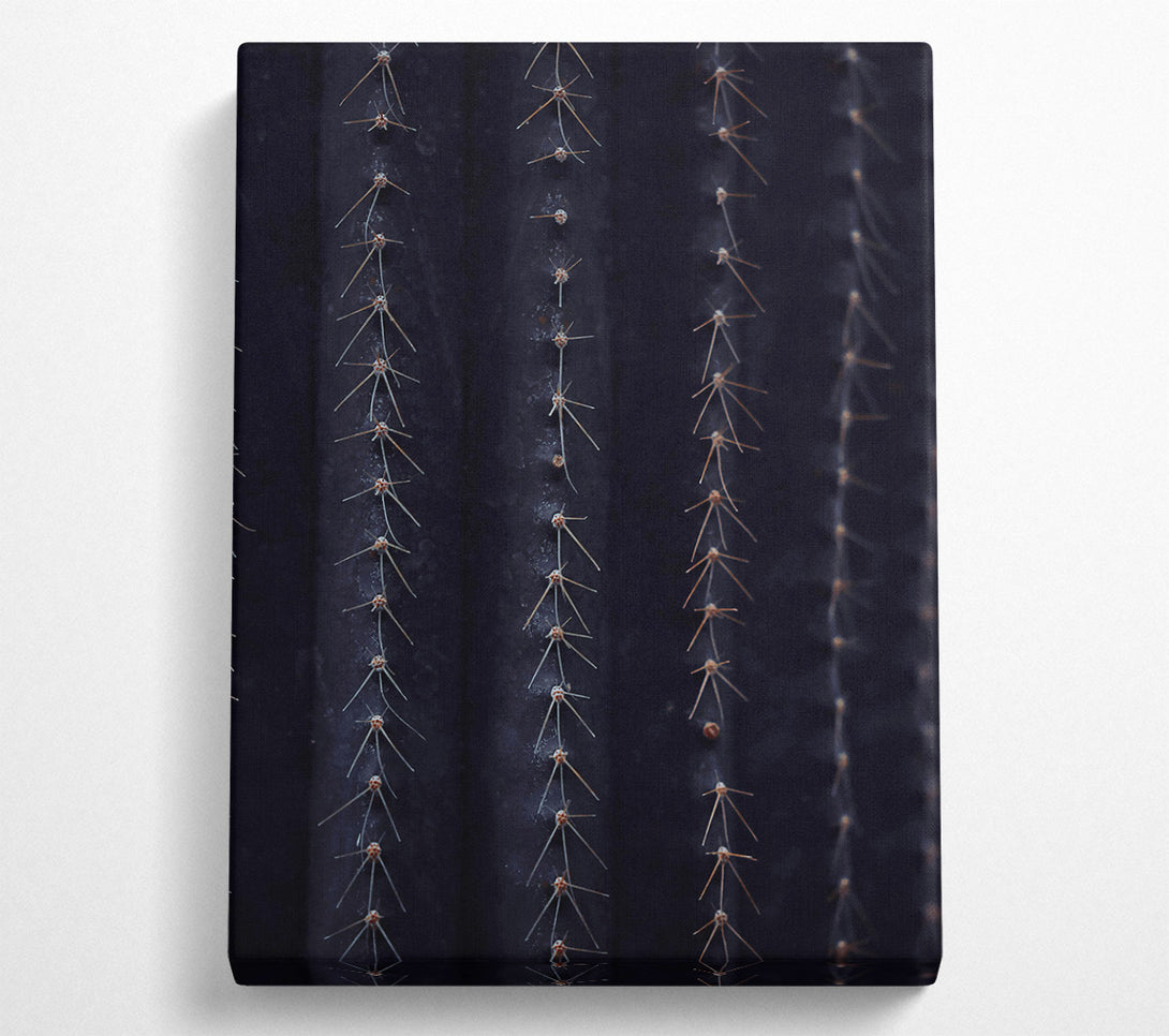  A Canvas Print of Midnight Cactus Ribs Canvas Wall Art