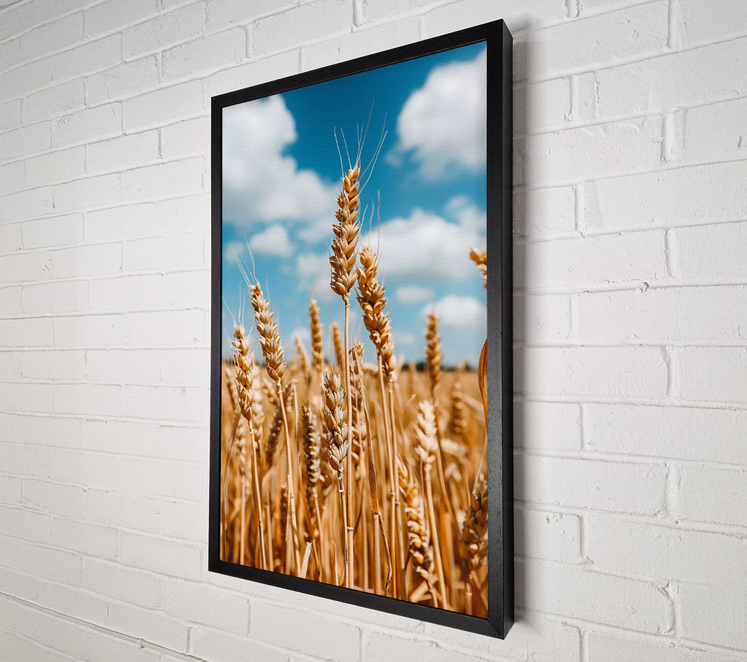  A Canvas Print of Golden Wheat Field Canvas Wall Art