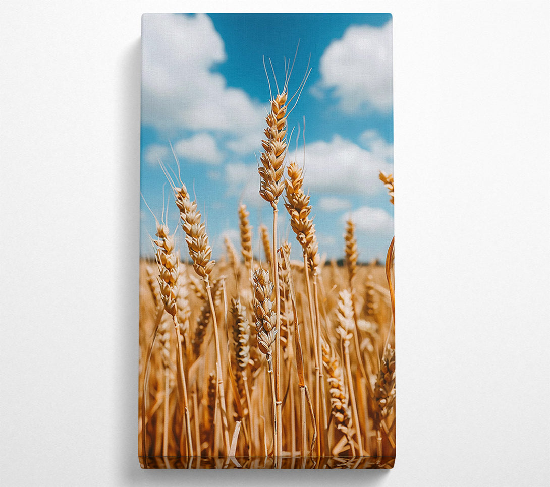 A Canvas Print of Golden Wheat Field Canvas Wall Art