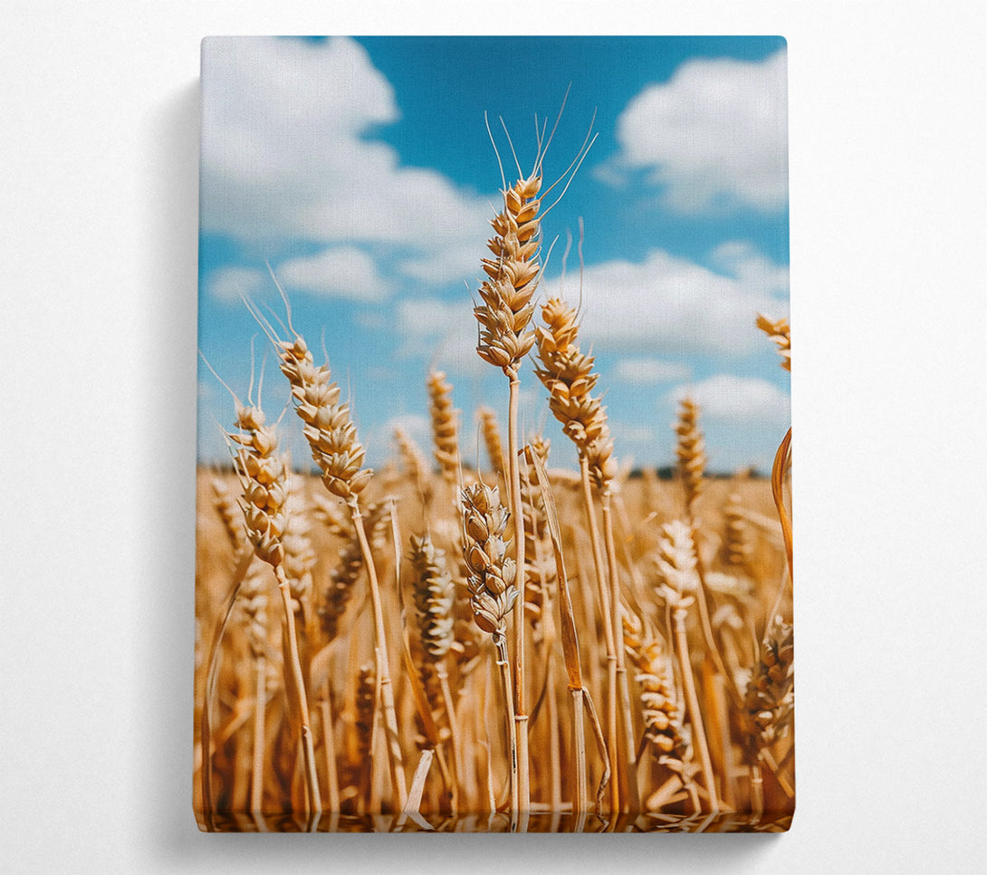  A Canvas Print of Golden Wheat Field Canvas Wall Art