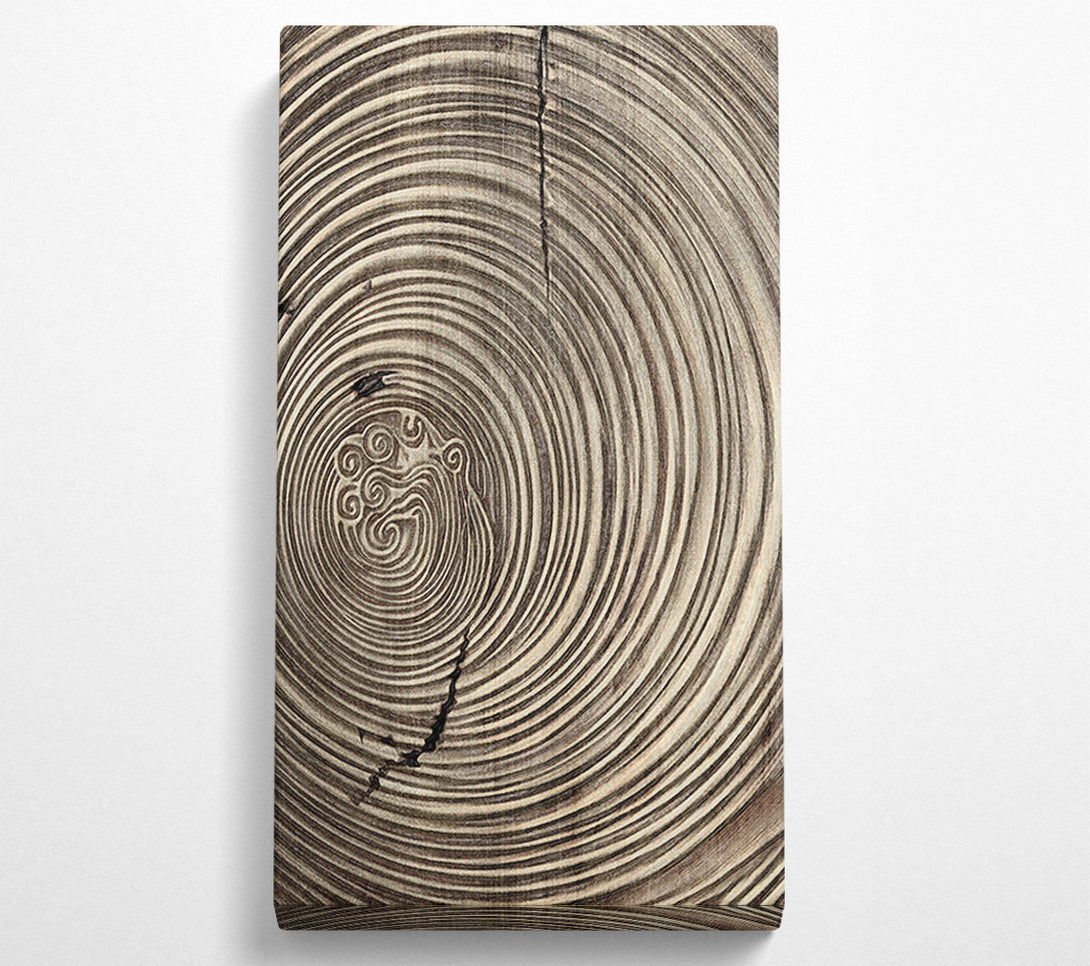  A Canvas Print of Gold And Brown Circles Canvas Wall Art