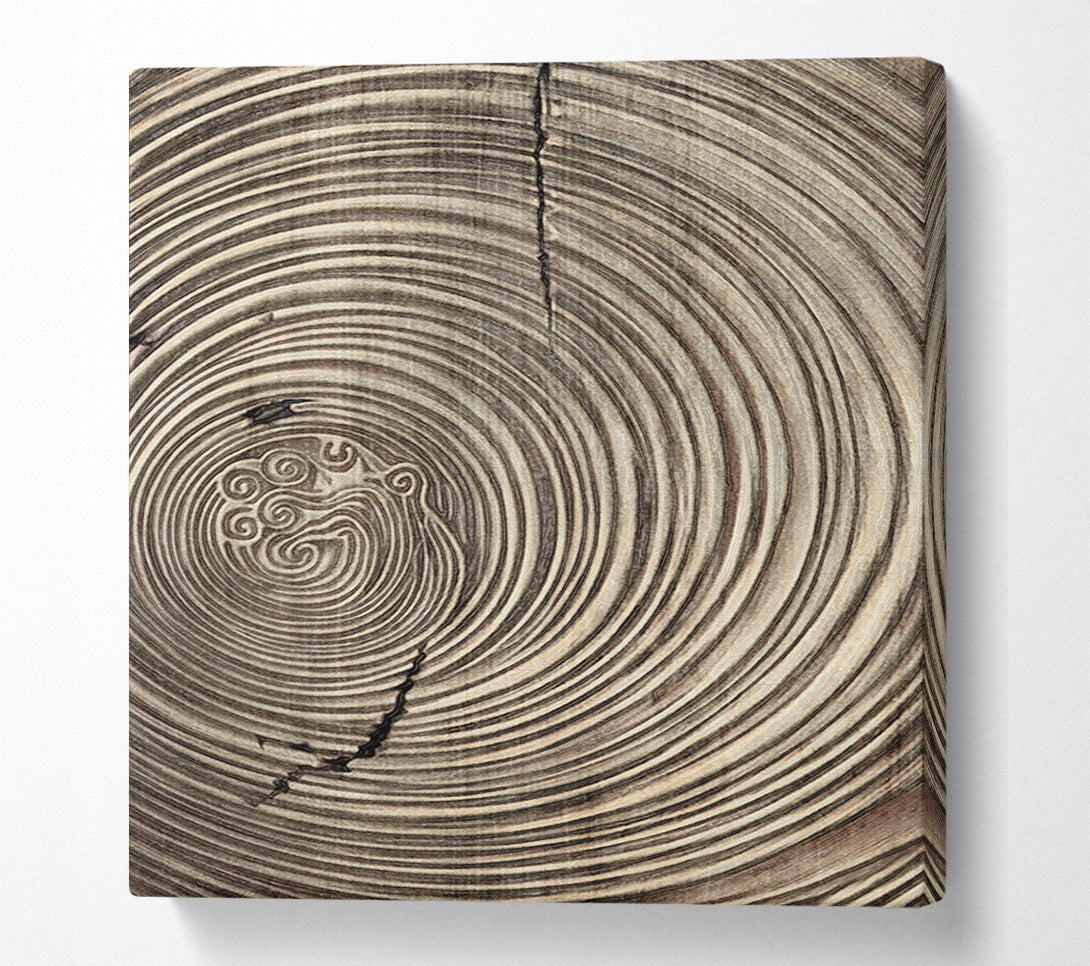  A Canvas Print of Gold And Brown Circles Canvas Wall Art