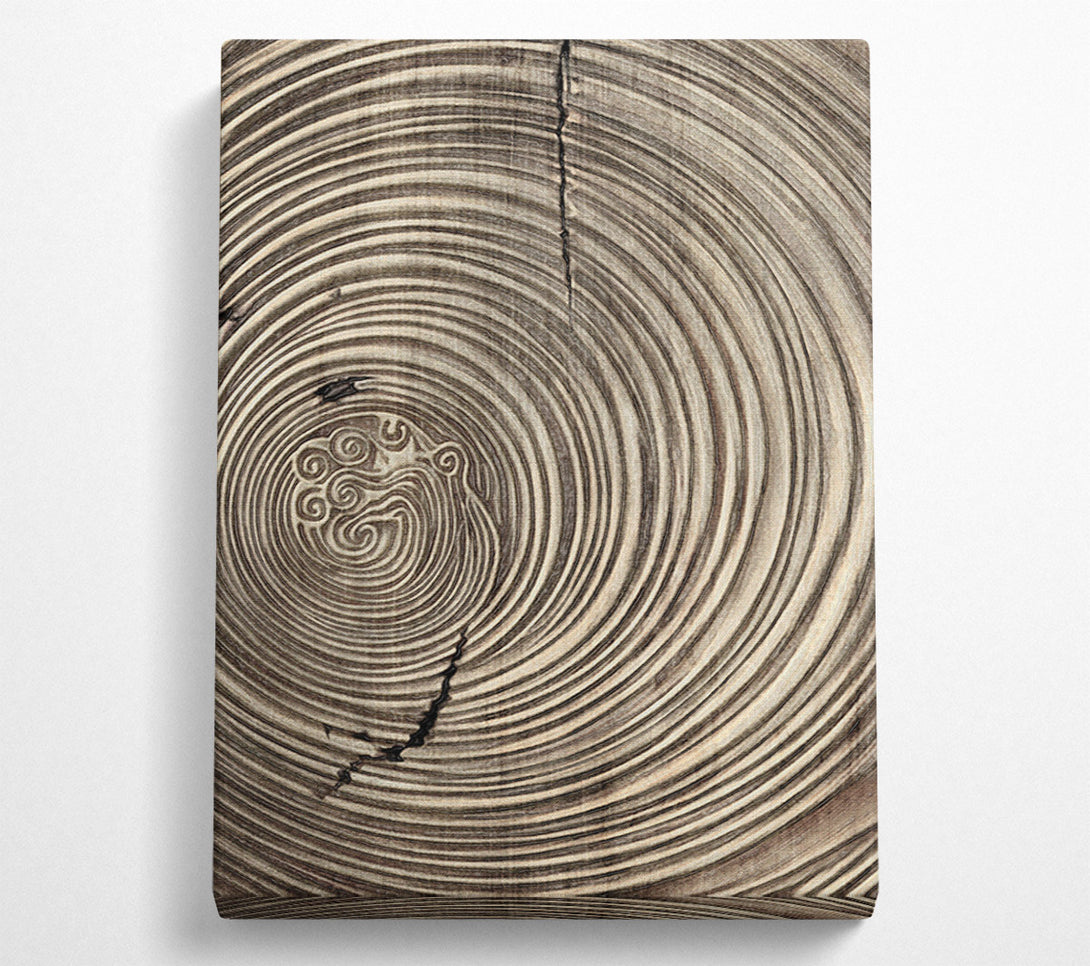  A Canvas Print of Gold And Brown Circles Canvas Wall Art