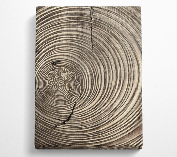  A Canvas Print of Gold And Brown Circles Canvas Wall Art