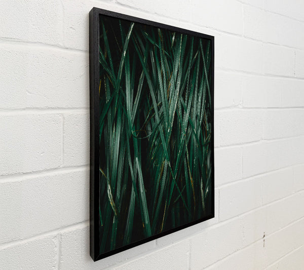 Emerald Blades Of Grass