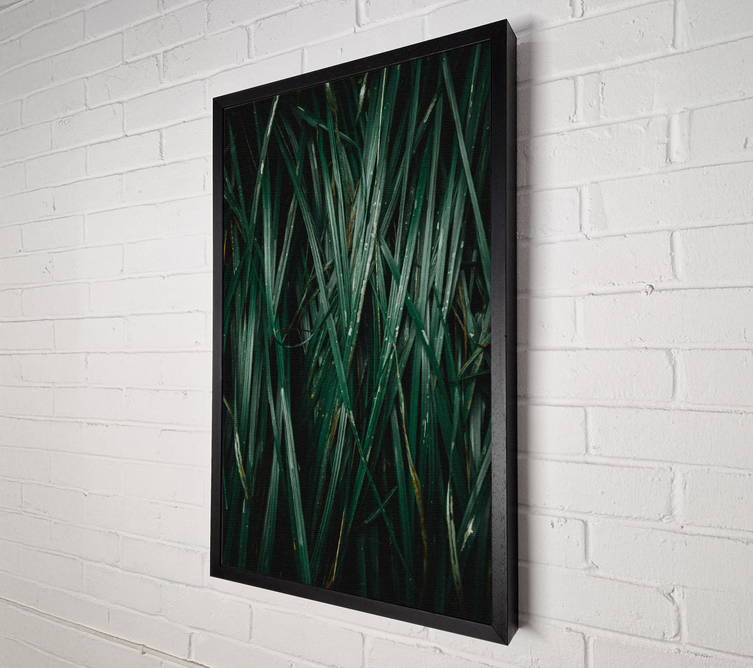  A Canvas Print of Emerald Blades Of Grass Canvas Art