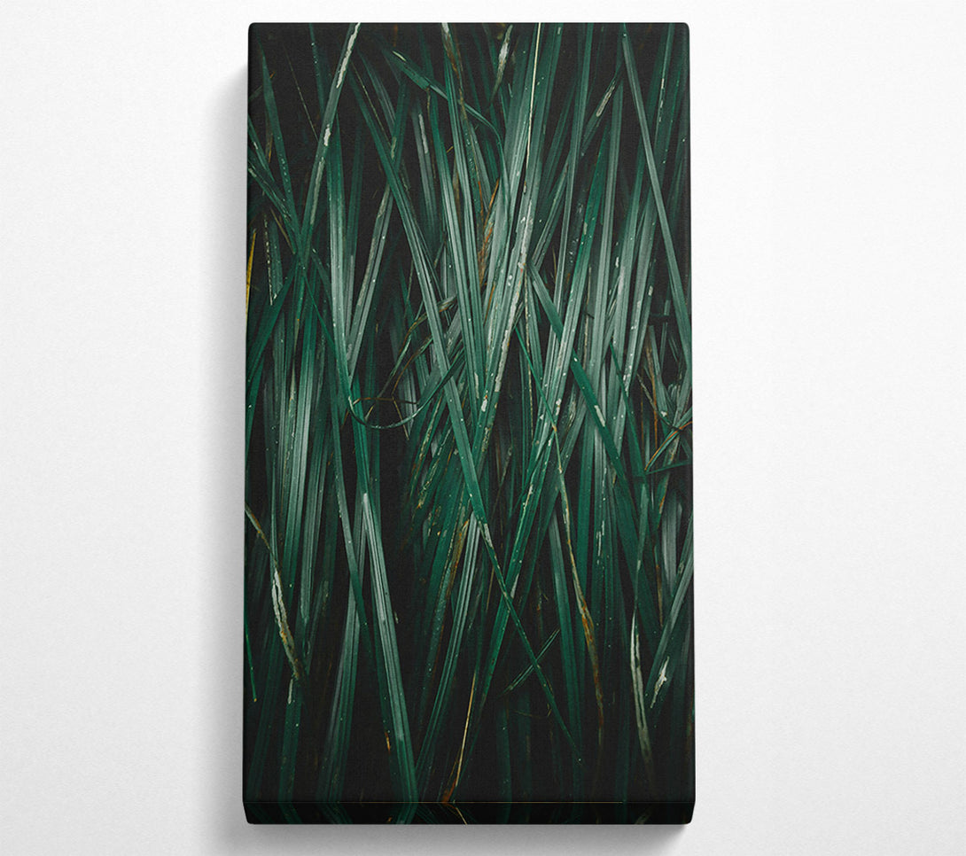  A Canvas Print of Emerald Blades Of Grass Canvas Art