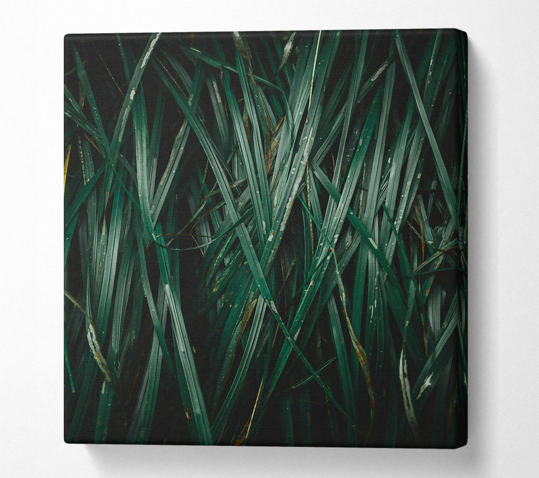  A Canvas Print of Emerald Blades Of Grass Canvas Art