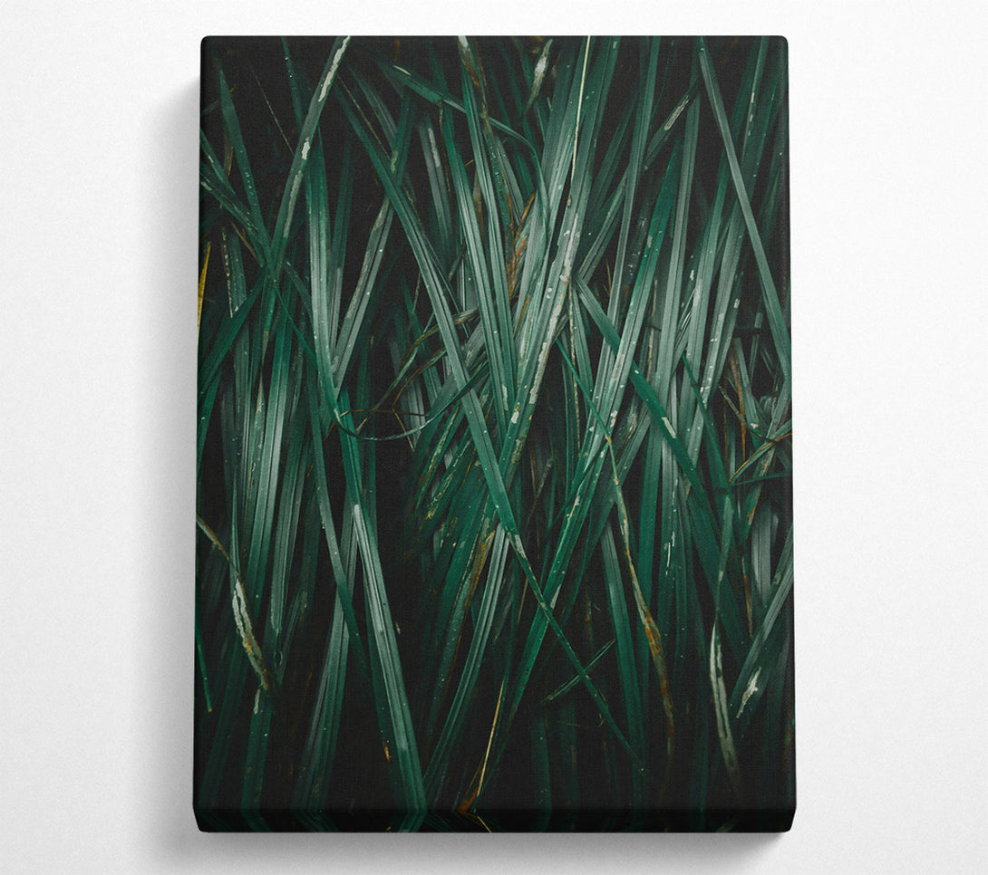  A Canvas Print of Emerald Blades Of Grass Canvas Art