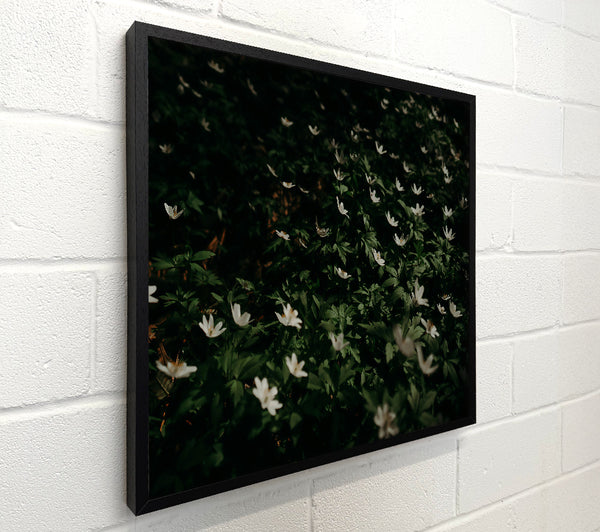Green And White Bloom