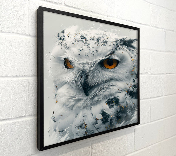 Golden Owl Gaze