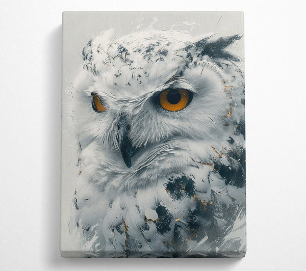  A Canvas Print of Golden Owl Gaze Canvas Wall Art