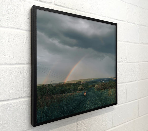 Grey Sky Double Rainbow