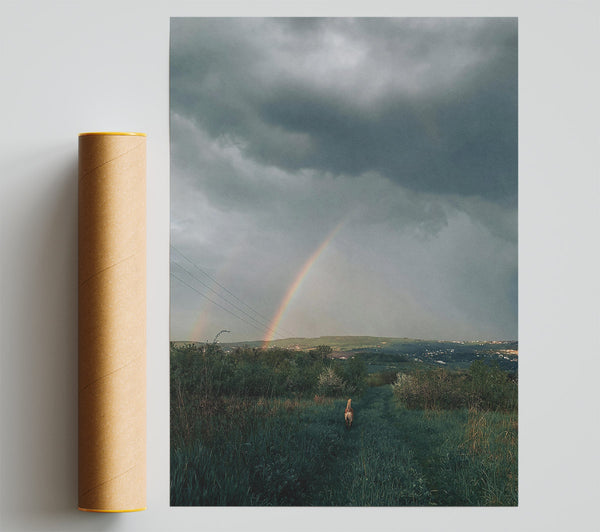 Grey Sky Double Rainbow Print