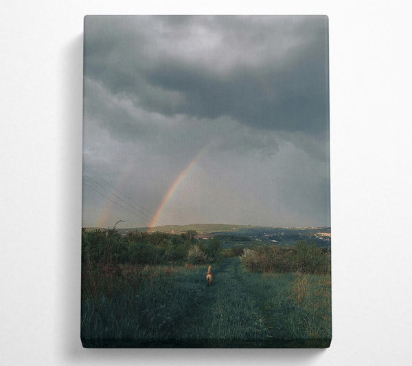  A Canvas Print of Grey Sky Double Rainbow Canvas Print