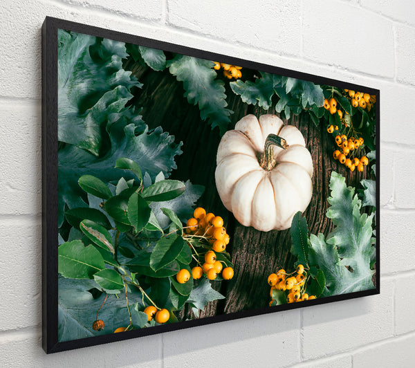 White Pumpkin Harvest