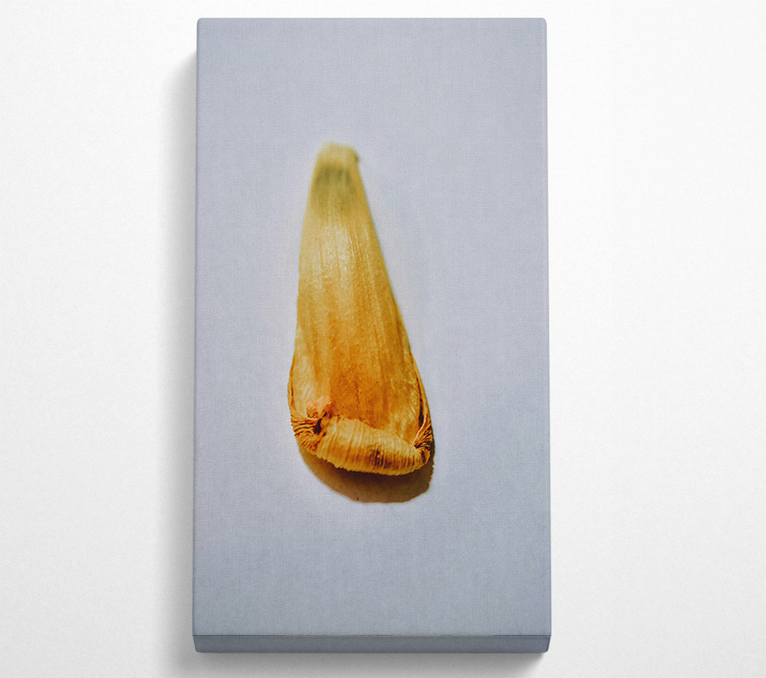  A Canvas Print of Golden Seedling Whisper Canvas Art