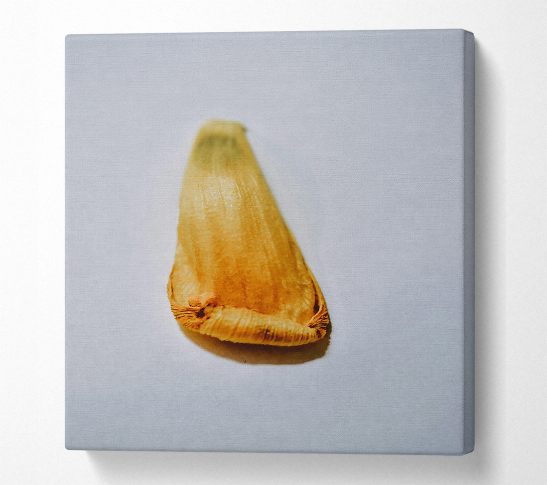  A Canvas Print of Golden Seedling Whisper Canvas Art