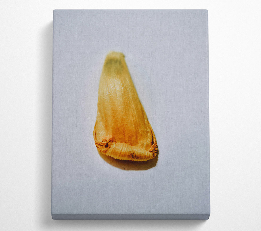  A Canvas Print of Golden Seedling Whisper Canvas Art