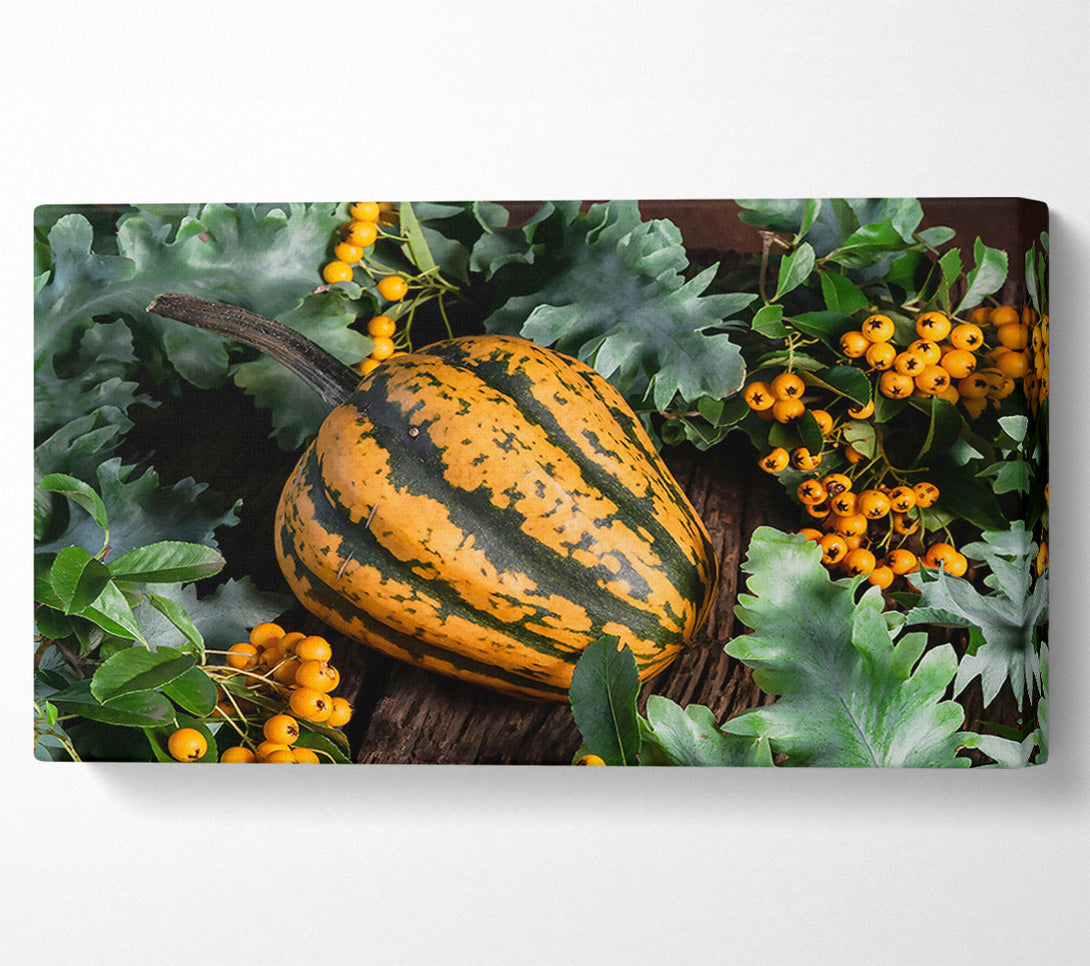  A Canvas Print of Golden Striped Gourd Canvas Wall Art
