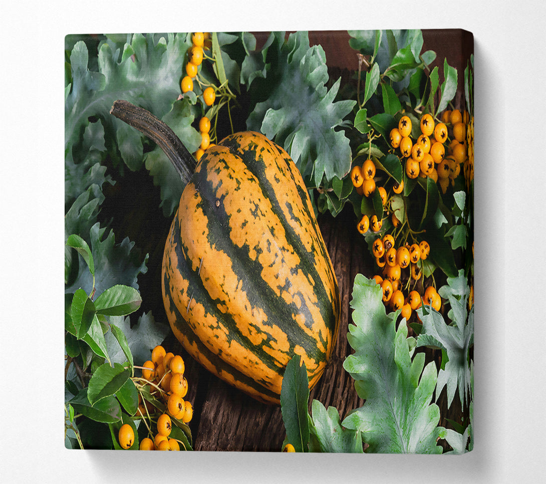  A Canvas Print of Golden Striped Gourd Canvas Wall Art