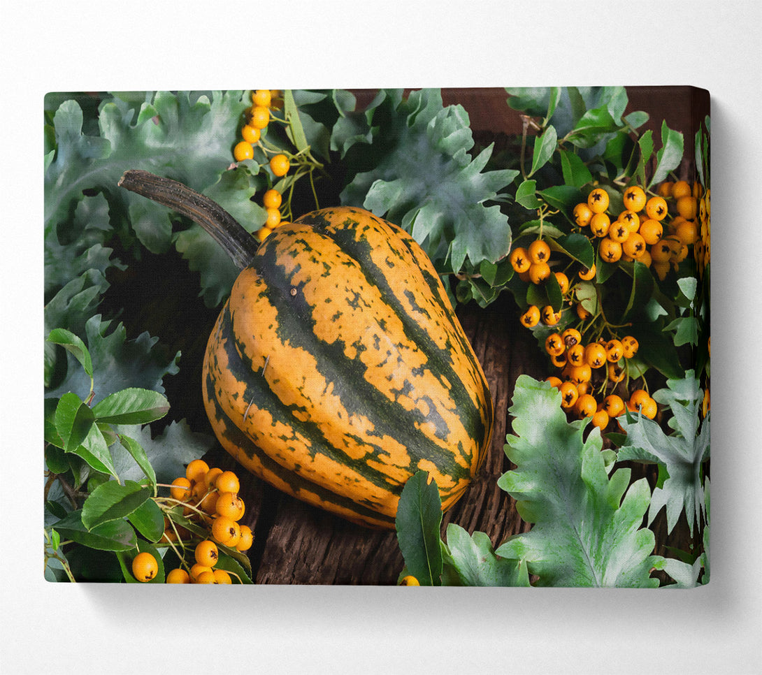  A Canvas Print of Golden Striped Gourd Canvas Wall Art