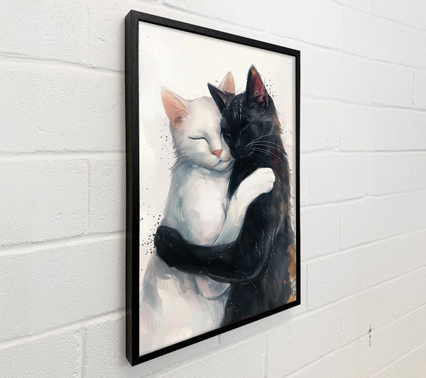Black And White Embrace