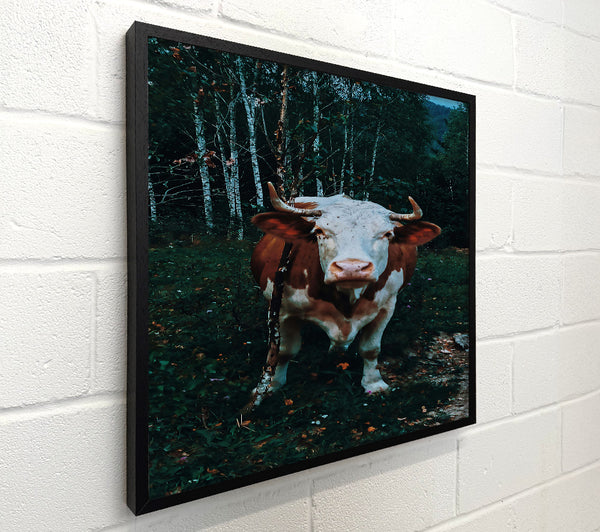 Green Forest Cow